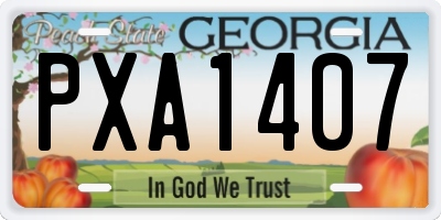 GA license plate PXA1407