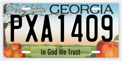 GA license plate PXA1409