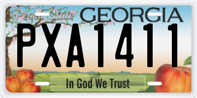 GA license plate PXA1411