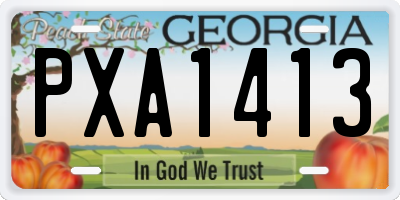 GA license plate PXA1413