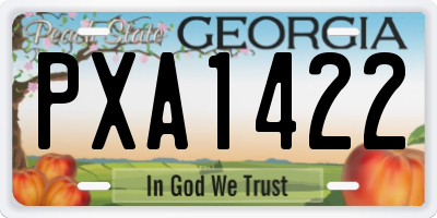 GA license plate PXA1422