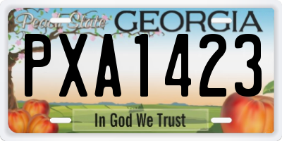 GA license plate PXA1423