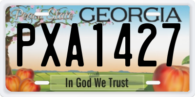 GA license plate PXA1427