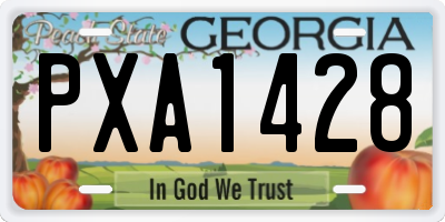 GA license plate PXA1428