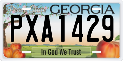GA license plate PXA1429