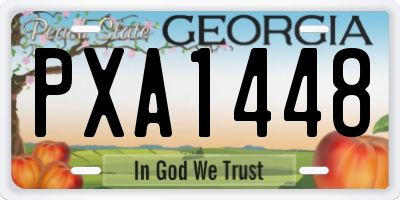 GA license plate PXA1448