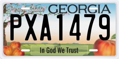GA license plate PXA1479