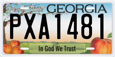 GA license plate PXA1481