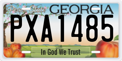 GA license plate PXA1485