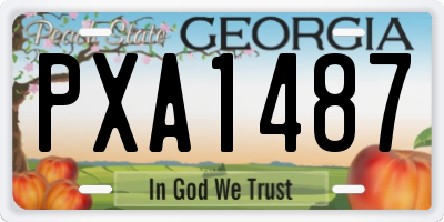 GA license plate PXA1487