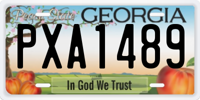 GA license plate PXA1489