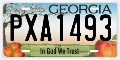 GA license plate PXA1493