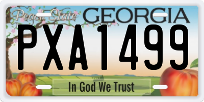 GA license plate PXA1499