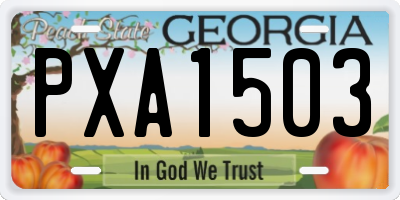 GA license plate PXA1503