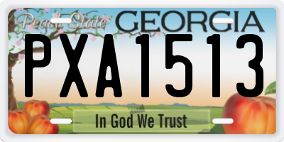 GA license plate PXA1513