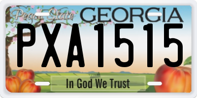 GA license plate PXA1515