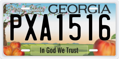GA license plate PXA1516