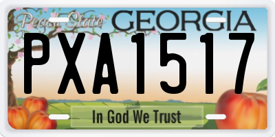 GA license plate PXA1517