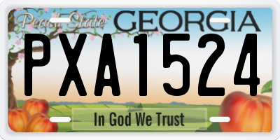 GA license plate PXA1524