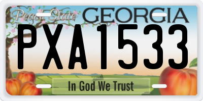 GA license plate PXA1533