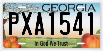 GA license plate PXA1541