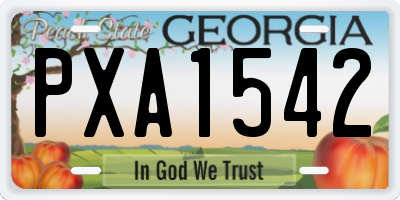GA license plate PXA1542