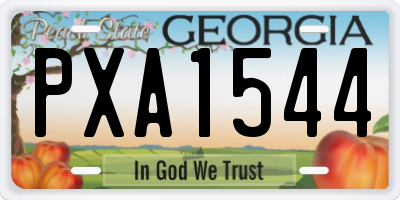 GA license plate PXA1544