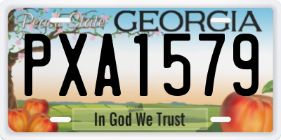 GA license plate PXA1579
