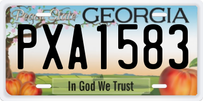 GA license plate PXA1583