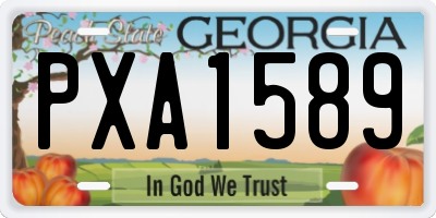 GA license plate PXA1589