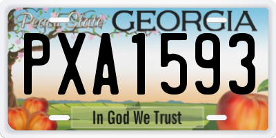 GA license plate PXA1593