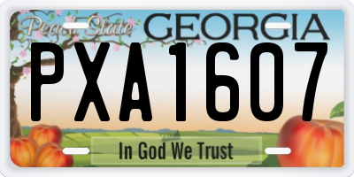 GA license plate PXA1607