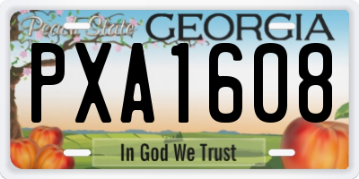 GA license plate PXA1608