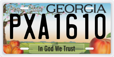 GA license plate PXA1610