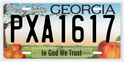 GA license plate PXA1617