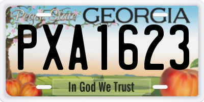 GA license plate PXA1623