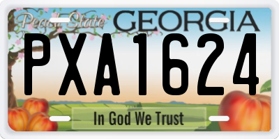 GA license plate PXA1624