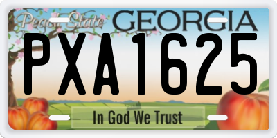 GA license plate PXA1625