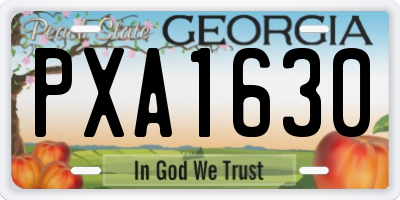 GA license plate PXA1630