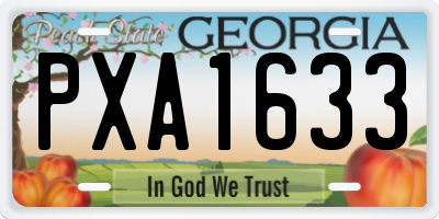 GA license plate PXA1633