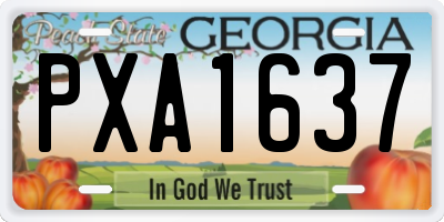 GA license plate PXA1637