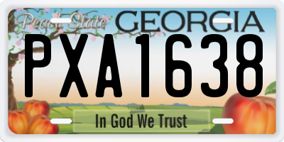 GA license plate PXA1638