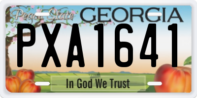 GA license plate PXA1641