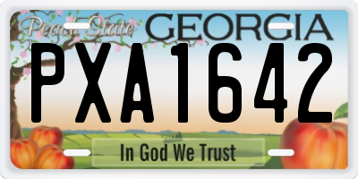 GA license plate PXA1642