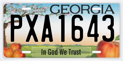 GA license plate PXA1643