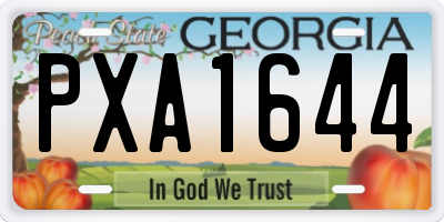 GA license plate PXA1644