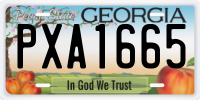 GA license plate PXA1665