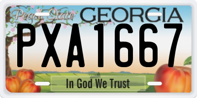 GA license plate PXA1667