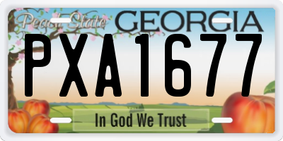 GA license plate PXA1677