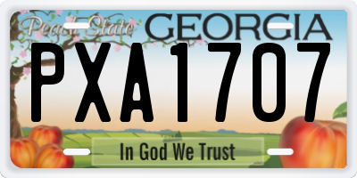 GA license plate PXA1707